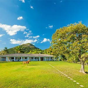 Bed & Breakfast Mountain Retreat Eumundi